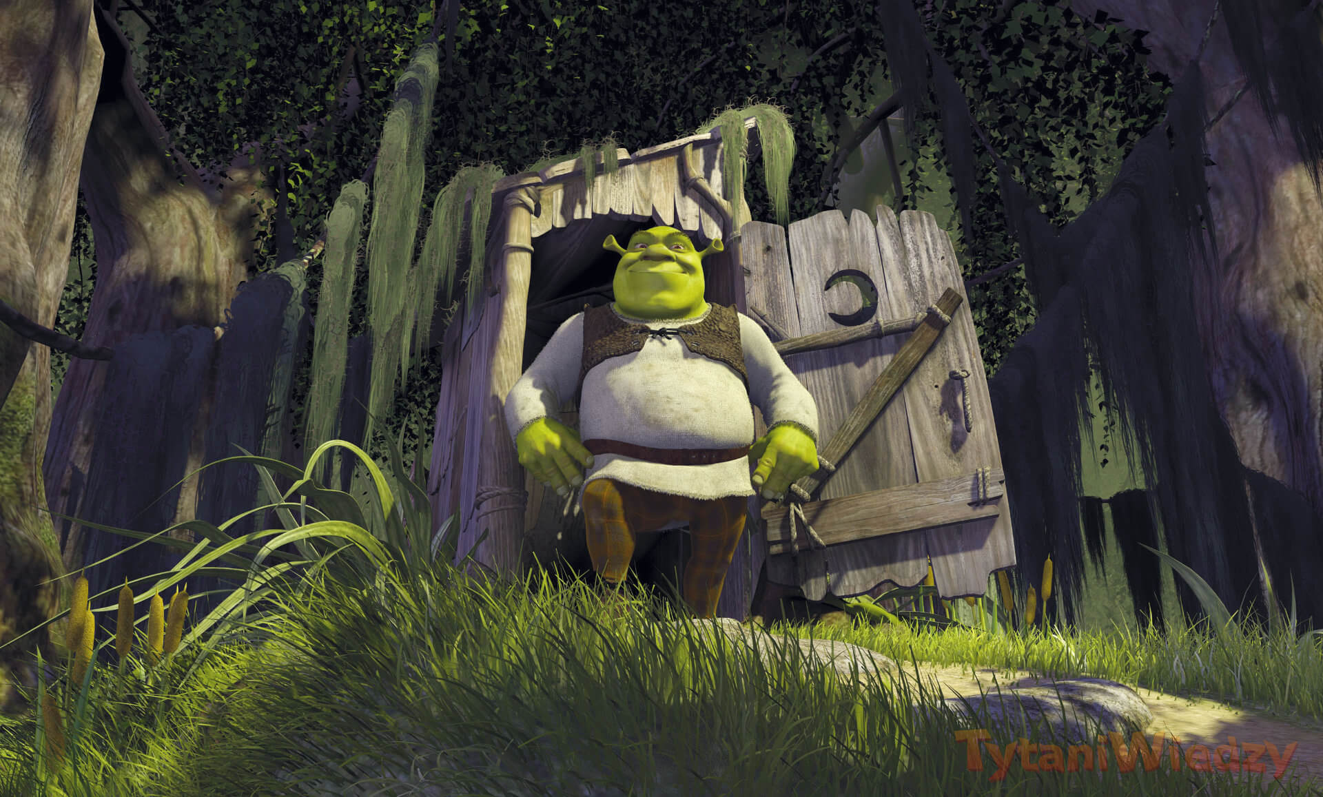 Shrek bajka