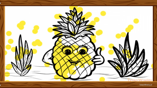 Ananas – Pokolorowane przez Anonim