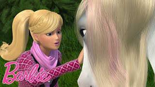 Barbie pomaga rannego konia – @barbie po polsku