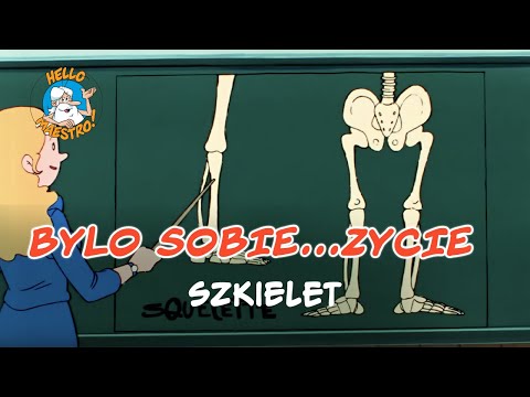 Bylo Sobie… Zycie Szkielet