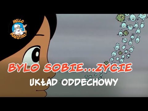 Bylo Sobie… Zycie Układ oddechowy
