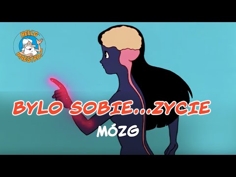 Bylo Sobie… Zycie – Mózg