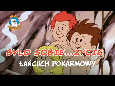 Bylo Sobie… Zycie – Łańcuch pokarmowy
