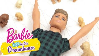 Dziesiatki szczeniakow – barbie live! in the dreamhouse – @barbie po polsku​