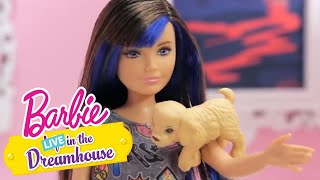 Dziesiątki szczeniaków – barbie live! in the dreamhouse – @barbie po polsku​