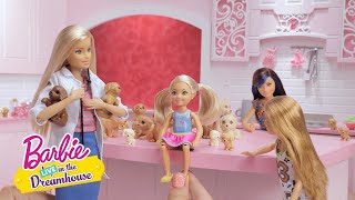 Dziesiątki szczeniaków – barbie live! in the dreamhouse – @barbie po polsku​