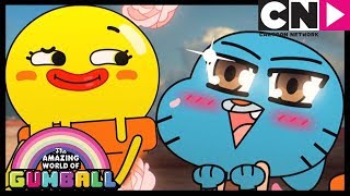 Fanka – niesamowity świat gumballa – cartoon network