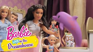 Ile kosztuje ten delfin z wystawy? – barbie live! in the dreamhouse – @barbie po polsku​