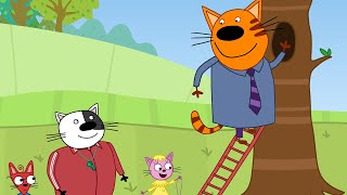 Kot-o-ciaki – pierzasty złodziej – bajki dla dzieci – epizod 40