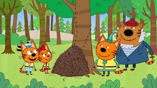Kot-o-ciaki – wyprawa do leśnej głuszy – bajki dla dzieci – epizod 49