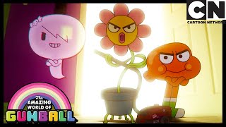 Kwiatek – niesamowity świat gumballa – cartoon network