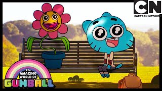 Kwiatek – niesamowity świat gumballa – cartoon network