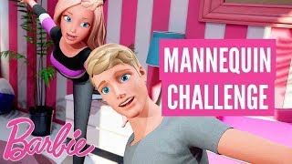 Mannequin challenge – vlogi barbie – @barbie po polsku