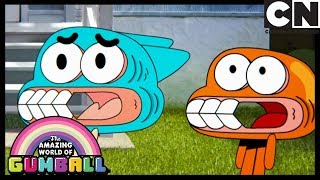 Małpa – niesamowity świat gumballa – cartoon network