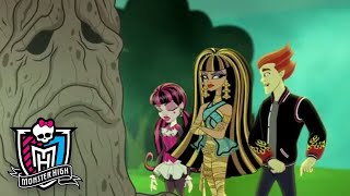Monster high™ polska drzewo życia sezon 3 kreskówki dla dzieci