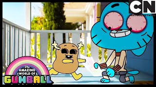 Najgorsze opiekunki – niesamowity świat gumballa – cartoon network