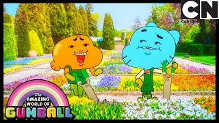 Płatki – niesamowity świat gumballa – cartoon network