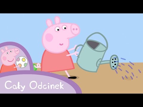 Peppa Pig (Świnka Peppa) – Ogrodnictwo (Cały odcinek po polsku)