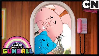 Piknik – niesamowity świat gumballa – cartoon network