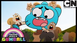 Podła – niesamowity świat gumballa – cartoon network