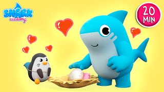 Shark academy – humpty dumpty -piosenki dla dzieci z baby sharkiem