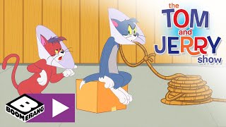 Tom i jerry show – kołnierz ochronny – boomerang