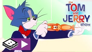 Tom i jerry show – nowe sąsiedztwo – boomerang