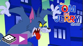 Tom i jerry show – wilkołak szczeniak – boomerang