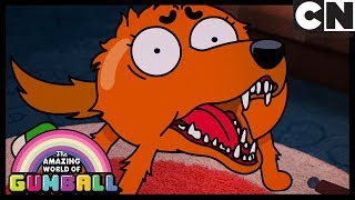 Utrapienie – niesamowity świat gumballa – cartoon network