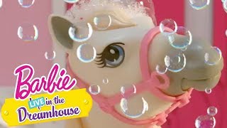 Wszystkiego najlepszego, chelsea! – barbie live! in the dreamhouse – @barbie po polsku​