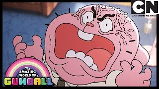 Zamieszanie – niesamowity świat gumballa – cartoon network