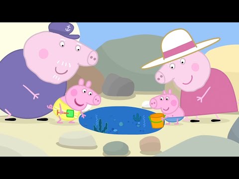 Świnka Peppa – Baseny skalne – Peppa po Polsku