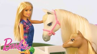 życie na farmie! – @barbie po polsku