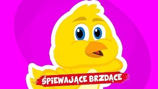 śpiewające brzdące – żółty kurczaczek  piosenki dla dzieci